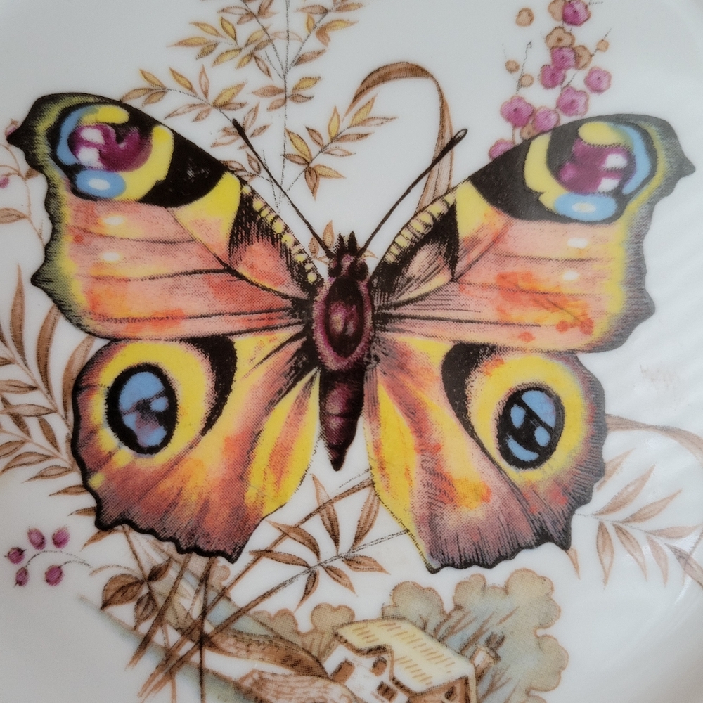 Kuba Bavaria Germany Butterfly Plate Porcelain ~ Pretty! ~ EUC ~ Nature Cottage